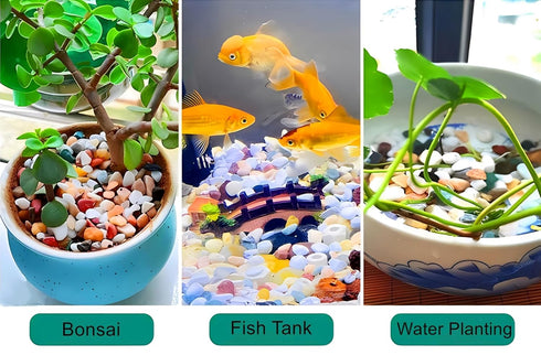 Aquarium Gravel for Fish Tank, 1lb Rocks and Substrate for Indoor Plants and Landscaping