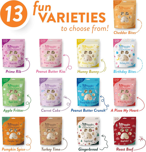 Spunky Pup Cheddar Bites, Crunchy Biscuit Treats, 10 oz