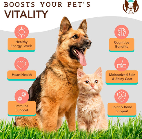 Natural Dog Company Pure Wild Alaskan Salmon Oil for Dogs - 32oz Skin & Coat Supplement with Essential Fatty Acids
