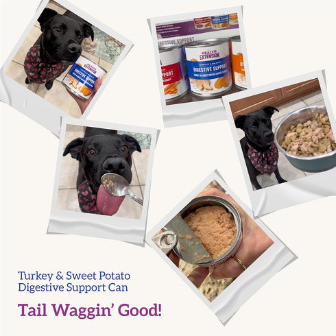 Health Extension Gravy Dog Food, Turkey & Sweet Potato Entrée, 9 Ounce, 12 Cans, Digestive Support