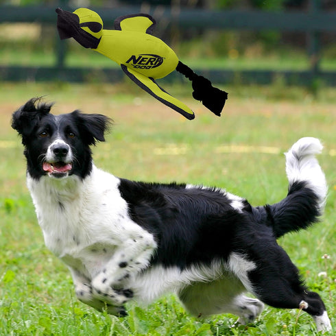 Nerf Dog Large Nylon Launching Duck, Green