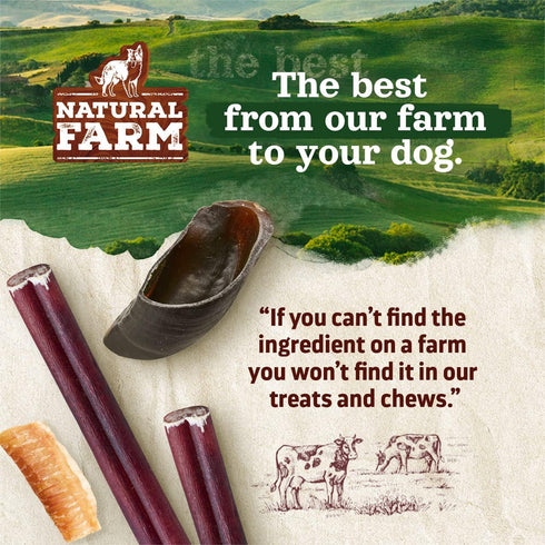 (40 Pack), 100% Natural Farm Nail-Free Chicken Feet Dog Treats Free-Range Air Dried Chicken Feet, No Nails, Fully