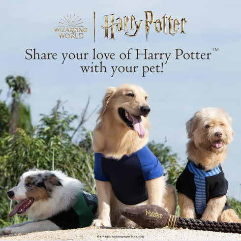 Harry Potter Snitch Pet Squeaker Toy, 10 Inch Quidditch Inspired Squeaky Ball for Dogs