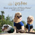Harry Potter 9 3/4 Platform Frisbee Pet Toy, Themed Design Frisbee for Dogs