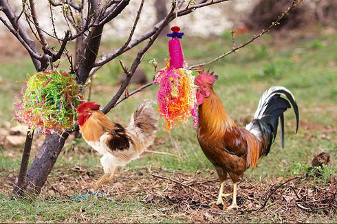 Vehomy Chicken Toys for Hen - 2pcs Natural Colorful Loofah Shredder Toys, Handmade Bird Chewing Foraging Hanging Toys