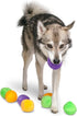 Midlee Squeaky and Crinkley Plush Dog Balls, Set of 8 (3 1/2" Refill Hide a Ball)