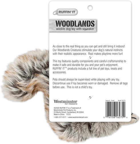 RUFFIN' IT Reaowazo Woodlands Plush Squirrel Dog Toy, Small