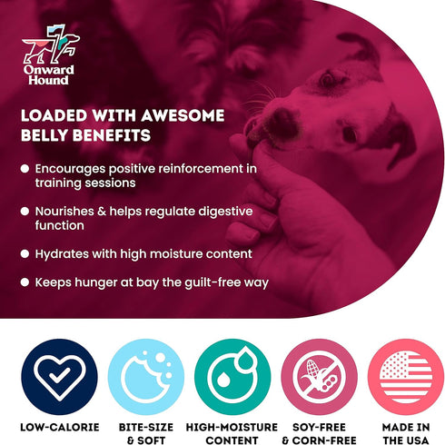 Training Treats for Dogs - Soft Salmon, Low Calorie for Sensitive Stomachs, 10 oz