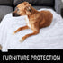 LOCHAS Luxury Fluffy Dog Blanket - Extra Soft and Warm Sherpa Fleece Pet Blankets for Dogs Cats - Plush Furry Faux Fur