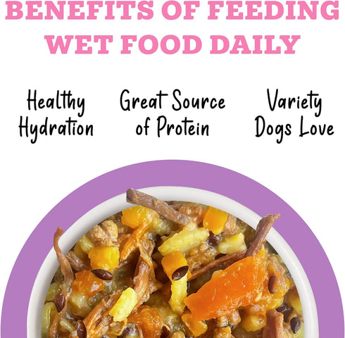 6oz (Pack 8) Weruva Awesome Belly Wet Dog Food, Beef & White Rice, Can