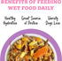 6oz (Pack 8) Weruva Awesome Belly Wet Dog Food, Beef & White Rice, Can