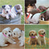 12 Pack Puppy Collars - Adjustable Soft Nylon ID Collars for Newborn Litter Puppies
