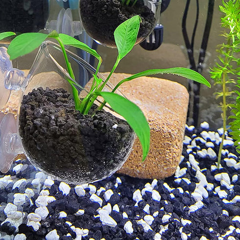 WEAVERBIRD Aquarium Plant Decoration with 2 Suction Cups for Fish Tank, Glass