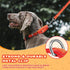 Martingale Dog Collar, Light-Reflective Polyester Collars for Whippets, Greyhounds, and Safety Training