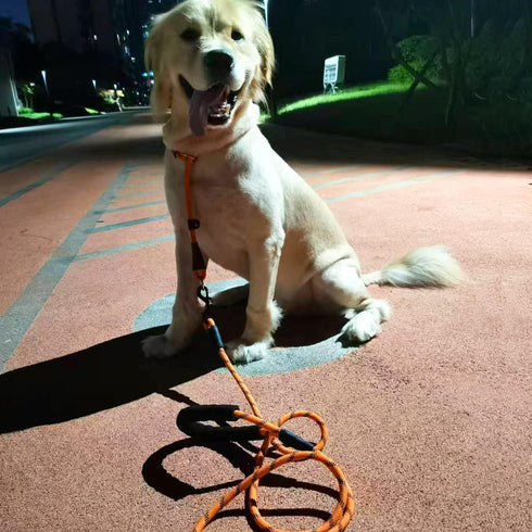 MayPaw Heavy Duty Rope Dog Leash, Thick Nylon Pet Training Leash, Soft Padded Handle for Large Medium Dogs