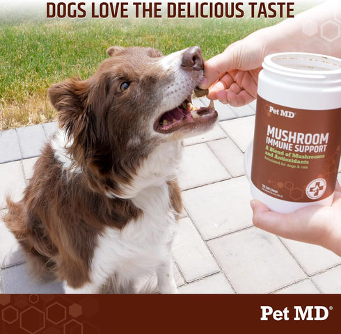 Pet MD Mushroom Immune Support - Turkey Tail Mushroom for Dogs & Cats with Milk Thistle and CoQ10 - 120 Chews