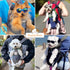 Dog Carrier Backpack, Pet Front Carrier for Small Medium Dogs, Hands-Free Cat Backpack, Airline Approved