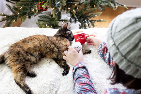 Pearhead Hot Cocoa Christmas Cat Toy Set, Holiday Gift, Set of 2 Plush Rattle Toys