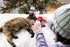 Pearhead Hot Cocoa Christmas Cat Toy Set, Holiday Gift, Set of 2 Plush Rattle Toys