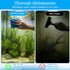 DOPENSPI 6PCS 3.23.21 Aquarium Glass Cleaner Sponge, Non-Scratch Fish Tank Cleaning Sponge Fish Tank Walls Cleaner
