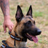 Dingo Gear Choke Collar for Dog Training, Handmade of Cord with 2 Limiters, Waterproof Black