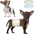 Dono Disposable Male Dog Diapers, Super Absorbent Male Dog Wraps for Small