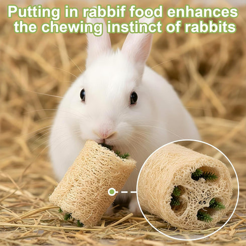 Qianyu 4 Chinchilla PCS Rabbit Chew Toys Natural Loofah Bunny Toys Pet Enrichment Accessories Bunny Teeth Grinding Toy
