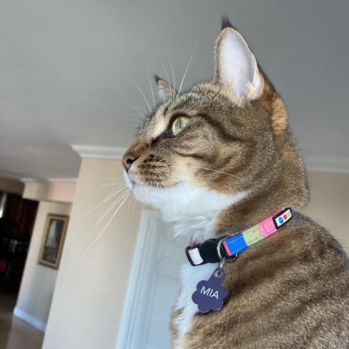 Pawtitas Pet Soft Adjustable Multicolor Cat Collar with Safety Buckle and Removable Bell, Green/White/Blue