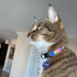 Pawtitas Pet Soft Adjustable Multicolor Cat Collar with Safety Buckle and Removable Bell, Green/White/Blue