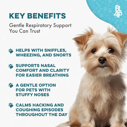 Kennel Cough Treatment & Dog Nasal Congestion Relief, Natural Dog Cough Suppressant, 400 Small Pills
