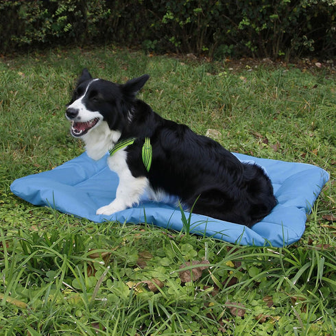 Outdoor Dog Bed, Roll-up Travel Dog Sleeping Pad, 33x 22 in Dog Bed Mat for Medium Small Dogs, Waterproof & Portable