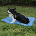 Outdoor Dog Bed, Roll-up Travel Dog Sleeping Pad, 33x 22 in Dog Bed Mat for Medium Small Dogs, Waterproof & Portable