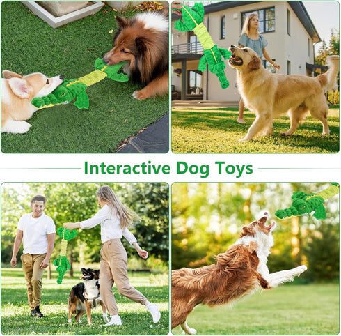 Large Interactive Squeaky Dog Toys, Plush Chew Toys with Crinkle Paper, Tug of War for Small, Medium, Large Breeds