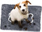 Soggy Doggy Doormat with Bone Design, Microfiber Chenille Indoor Wet Dog Mat for Muddy Paws, Gray/Light Gray