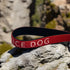 Service Dog Leash (Medium)