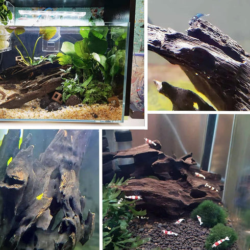 kathson Large Driftwood Natural Wood Assorted Branches, Fish Tank Driftwood Decoration for Reptiles