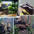 kathson Large Driftwood Natural Wood Assorted Branches, Fish Tank Driftwood Decoration for Reptiles