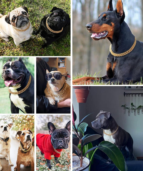 Gold Chain Dog Collar, 15mm Cute Pet Necklace for Bulldog, Light Metal Puppy Jewelry 20" Chain Costume