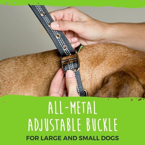 Mighty Paw Ultra Soft Dog Collar - Adjustable All-Metal Buckle for Large and Small Dogs, Neoprene Padding