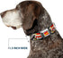 Buckle-Down Dog Collar Seatbelt Buckle, Thor Hammer Red Yellow White, 18 to 32 Inches, 1.5 Inch Wide