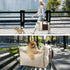 Lesure Small Dog Car Seat for Small Dogs - Dog Booster Seat for Car with Waterproof Bottom, Clip-On Safety Leash