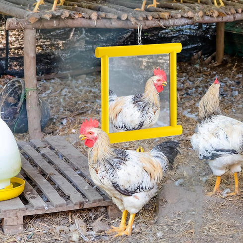 10.6 10 Inch (1pcs, Sadnyy Chicken Mirror Toys Extra Large x Big Hanging Swing Mirror with Bell Wooden Pecking Toy
