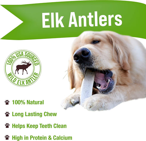 Buck Bone Organics Dog Chews, Elk Antlers for Dogs, Long Lasting Bones for Aggressive Chewers, All Natural, No