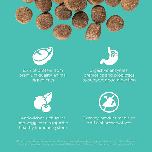 GO! SOLUTIONS Carnivore Grain Free Dog Food - Chicken, Turkey + Duck Recipe - 3.5 lb Dry Dog Food