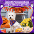 72 Sanwuta Pcs Halloween Dog Bandana Bulk Washable Puppy Triangle Scarfs Halloween Pumpkin Cat Bandanas Adjustable Soft