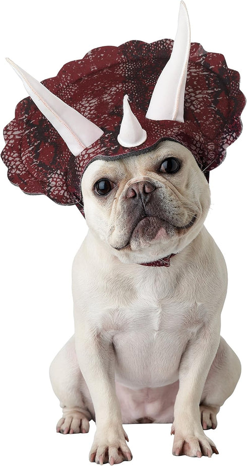 CALIFORNIA COSTUME COLLECTIONS Pet TRICERADOG Dog Costumes, Burgundy, M, Neck 14-16 Girth 20-24
