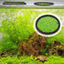 20 Pcs Aquarium Floating Plant Rings, Round Square Foam Circles for Fish Feeding, 5 Sizes (Black)