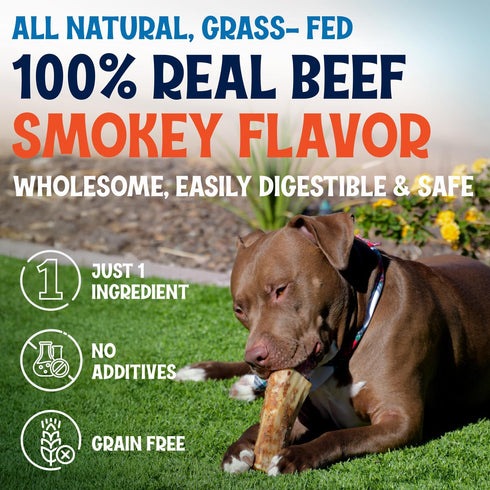 3" (12 Pack) Beef Marrow Bones for Dogs, Bone, Long Lasting Stuffed Treats, Tasty and Healthy Snack for Small