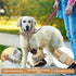 Tactical Dog Collar, Adjustable Heavy Duty Nylon with Metal Buckle and Control Handle for Small Medium Large Dogs