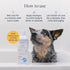 16 oz Veterinary Formula Flea and Tick Shampoo for Dogs and Cats